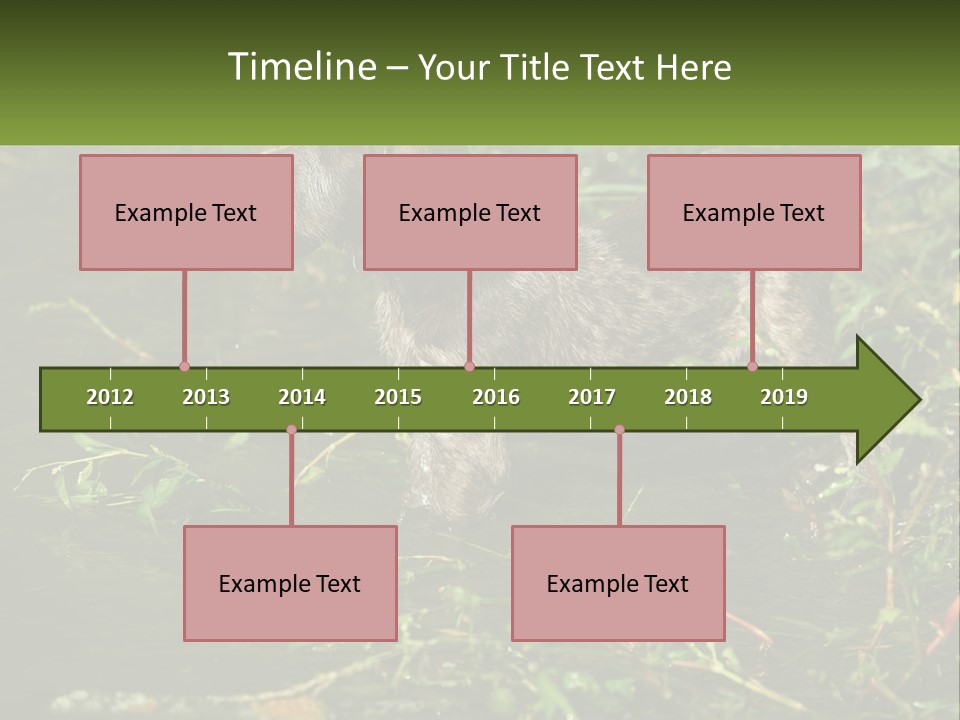 A Dog Standing In A Body Of Water PowerPoint Template