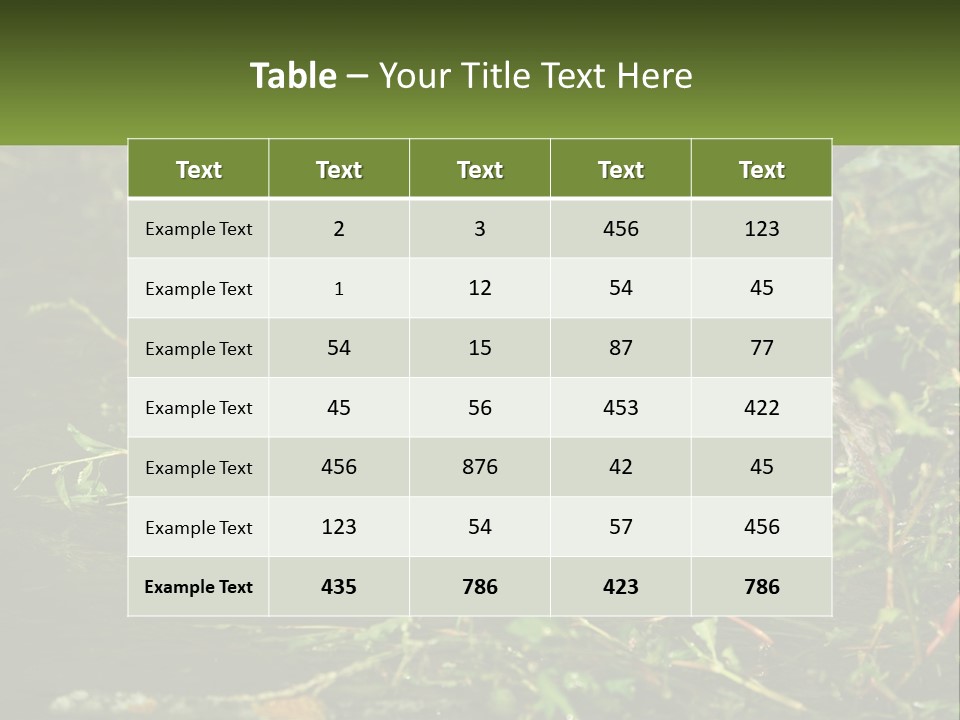 A Dog Standing In A Body Of Water PowerPoint Template