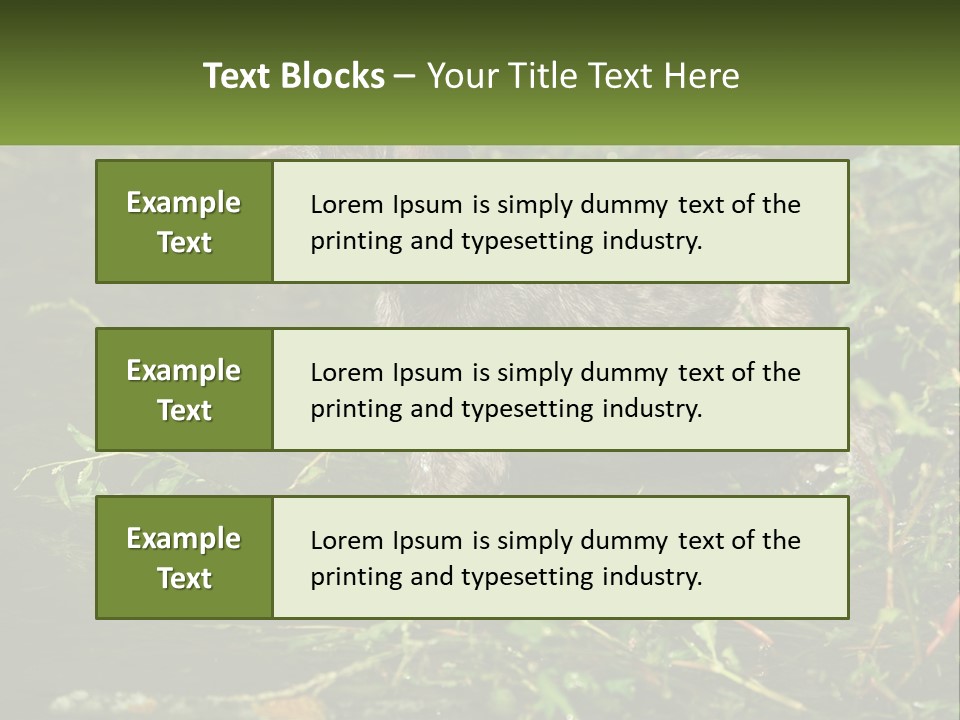 A Dog Standing In A Body Of Water PowerPoint Template