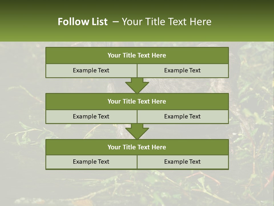 A Dog Standing In A Body Of Water PowerPoint Template