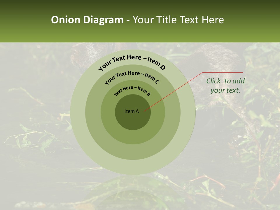 A Dog Standing In A Body Of Water PowerPoint Template