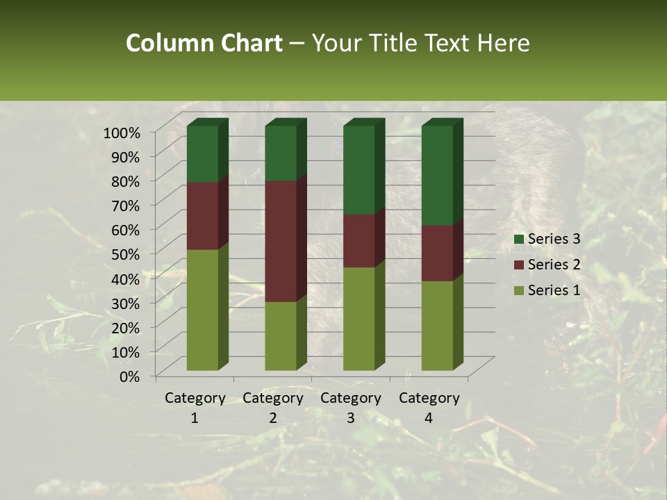 A Dog Standing In A Body Of Water PowerPoint Template