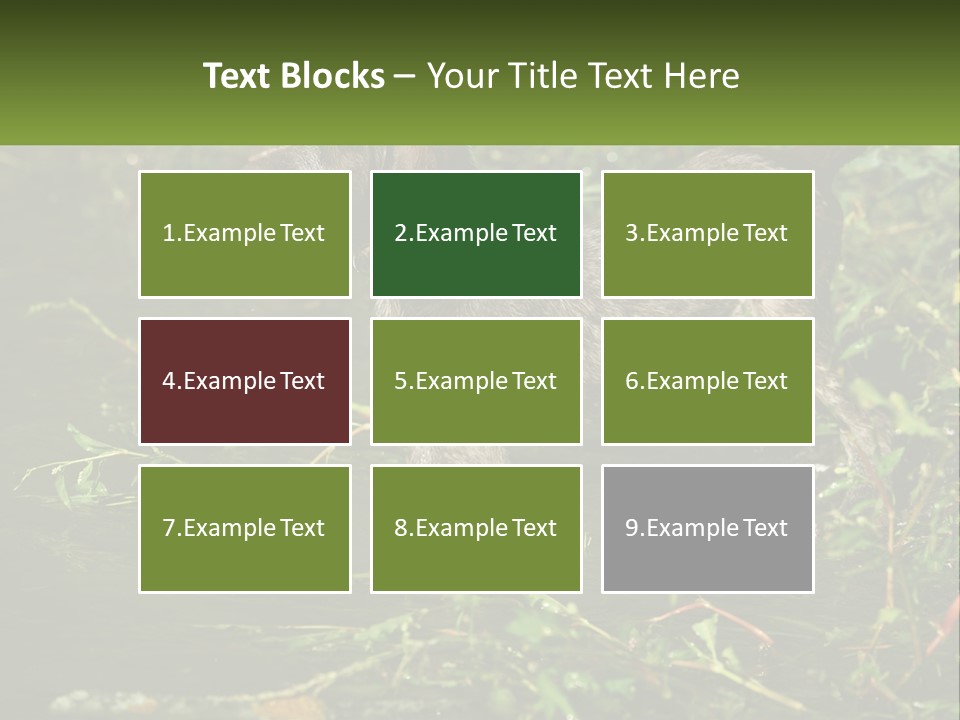 A Dog Standing In A Body Of Water PowerPoint Template