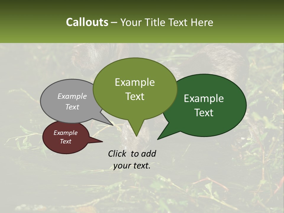 A Dog Standing In A Body Of Water PowerPoint Template