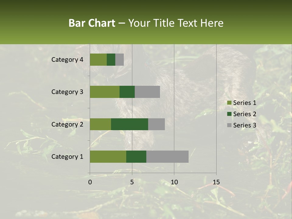 A Dog Standing In A Body Of Water PowerPoint Template