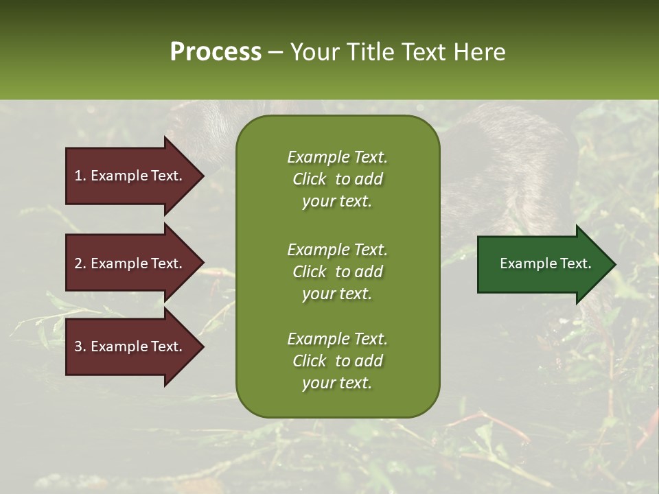A Dog Standing In A Body Of Water PowerPoint Template