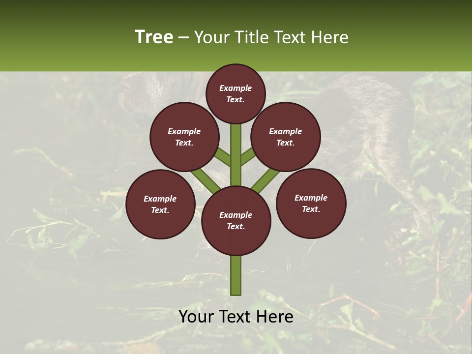 A Dog Standing In A Body Of Water PowerPoint Template