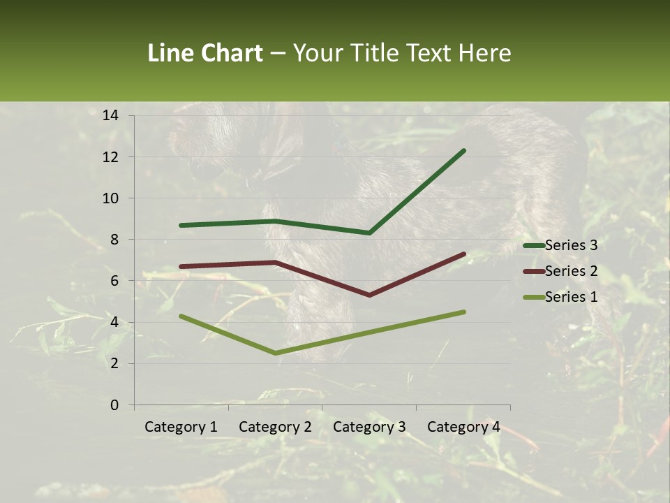 A Dog Standing In A Body Of Water PowerPoint Template