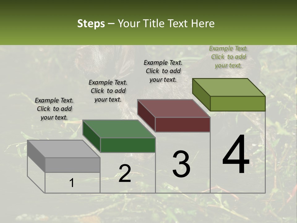 A Dog Standing In A Body Of Water PowerPoint Template