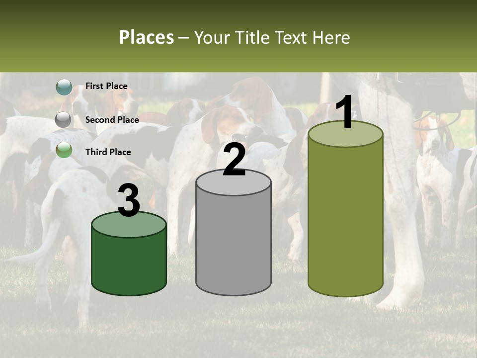 A Group Of Dogs That Are Standing In The Grass PowerPoint Template