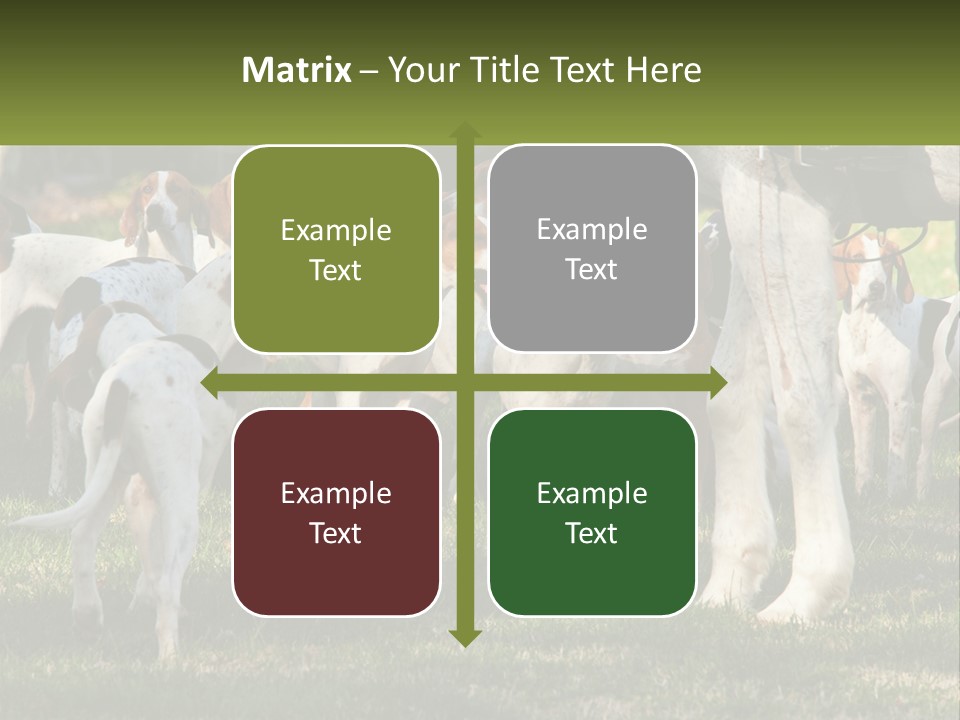 A Group Of Dogs That Are Standing In The Grass PowerPoint Template