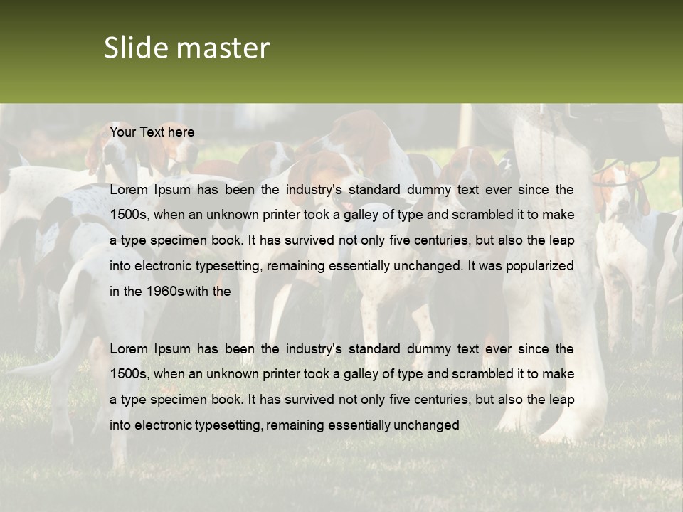 A Group Of Dogs That Are Standing In The Grass PowerPoint Template