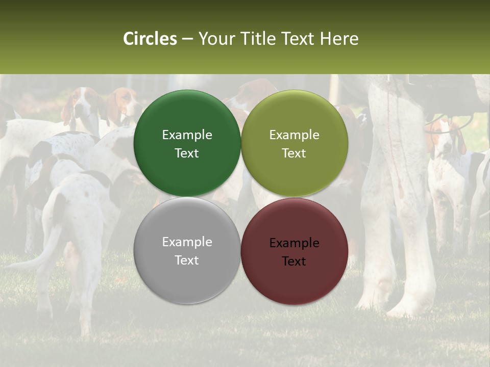 A Group Of Dogs That Are Standing In The Grass PowerPoint Template