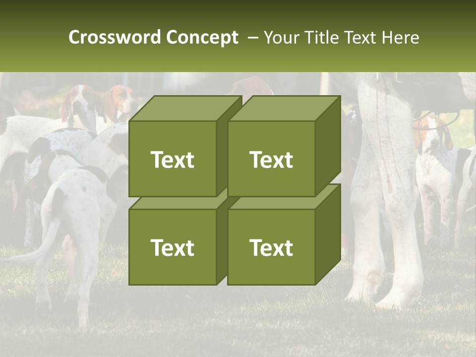 A Group Of Dogs That Are Standing In The Grass PowerPoint Template