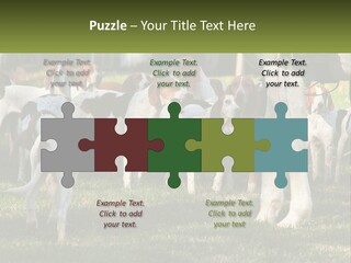 A Group Of Dogs That Are Standing In The Grass PowerPoint Template