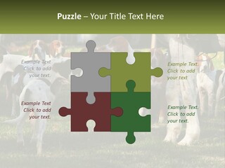 A Group Of Dogs That Are Standing In The Grass PowerPoint Template