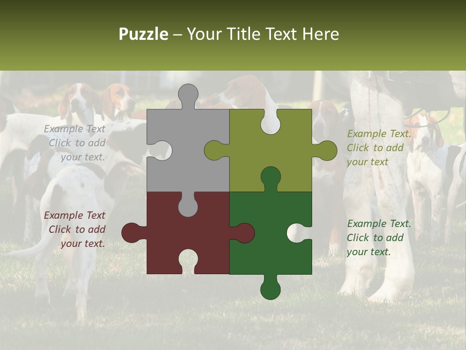 A Group Of Dogs That Are Standing In The Grass PowerPoint Template