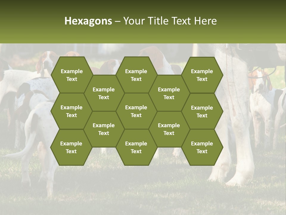 A Group Of Dogs That Are Standing In The Grass PowerPoint Template
