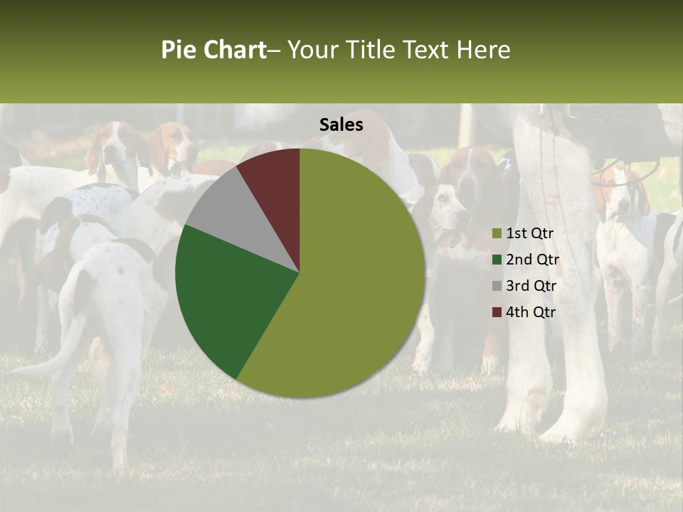 A Group Of Dogs That Are Standing In The Grass PowerPoint Template