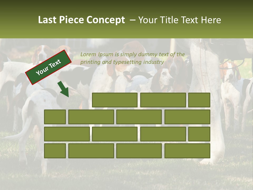 A Group Of Dogs That Are Standing In The Grass PowerPoint Template