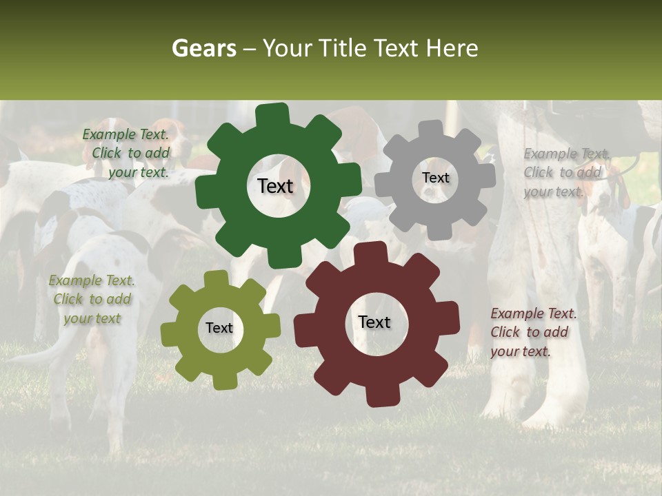 A Group Of Dogs That Are Standing In The Grass PowerPoint Template