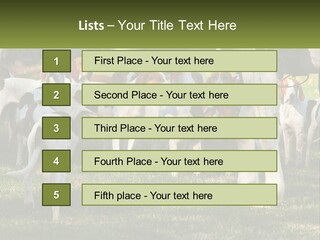 A Group Of Dogs That Are Standing In The Grass PowerPoint Template