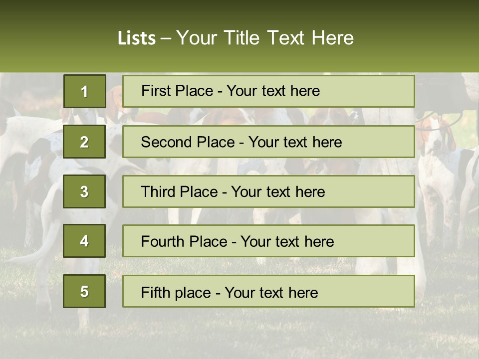 A Group Of Dogs That Are Standing In The Grass PowerPoint Template