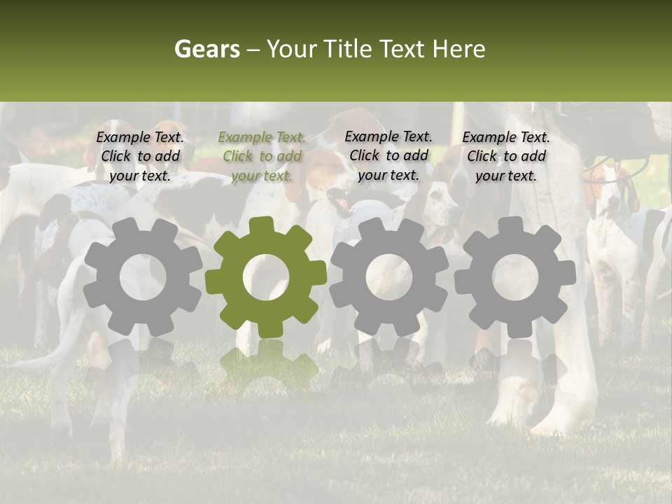A Group Of Dogs That Are Standing In The Grass PowerPoint Template