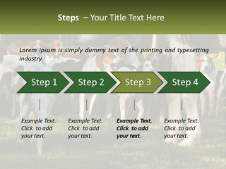 A Group Of Dogs That Are Standing In The Grass PowerPoint Template