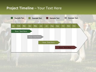 A Group Of Dogs That Are Standing In The Grass PowerPoint Template