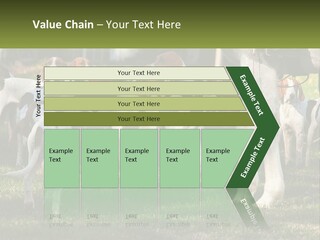 A Group Of Dogs That Are Standing In The Grass PowerPoint Template
