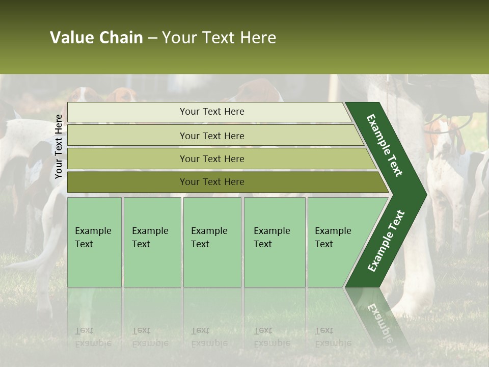 A Group Of Dogs That Are Standing In The Grass PowerPoint Template