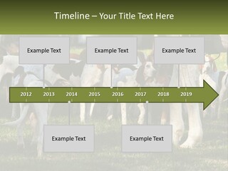 A Group Of Dogs That Are Standing In The Grass PowerPoint Template