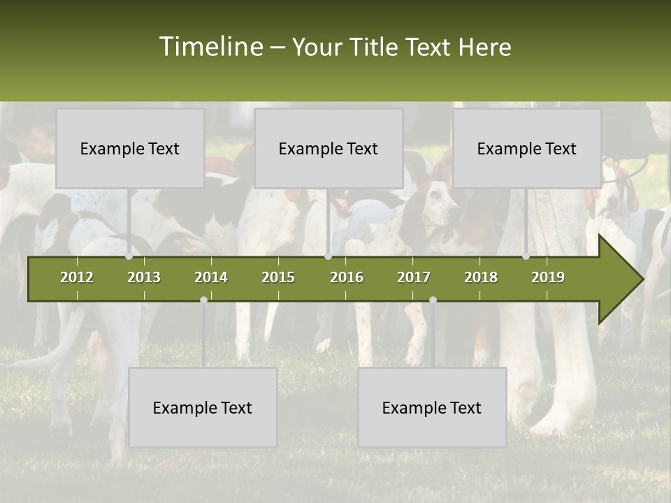 A Group Of Dogs That Are Standing In The Grass PowerPoint Template