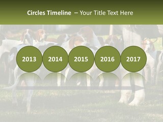 A Group Of Dogs That Are Standing In The Grass PowerPoint Template