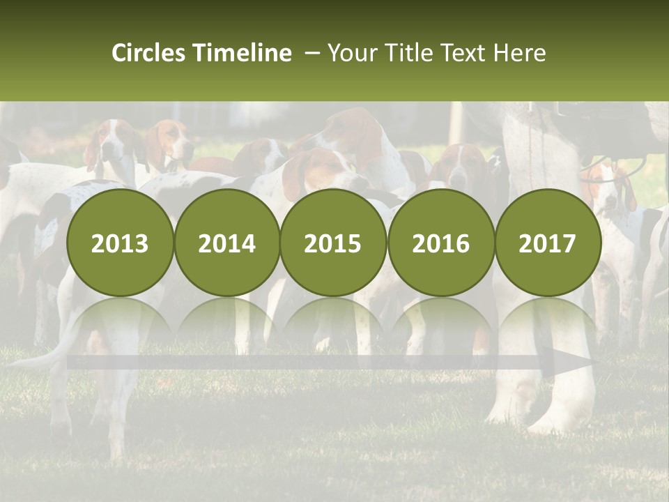 A Group Of Dogs That Are Standing In The Grass PowerPoint Template