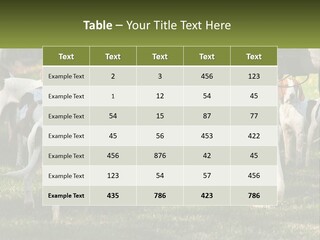 A Group Of Dogs That Are Standing In The Grass PowerPoint Template