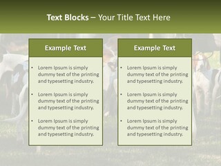 A Group Of Dogs That Are Standing In The Grass PowerPoint Template
