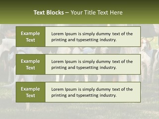 A Group Of Dogs That Are Standing In The Grass PowerPoint Template