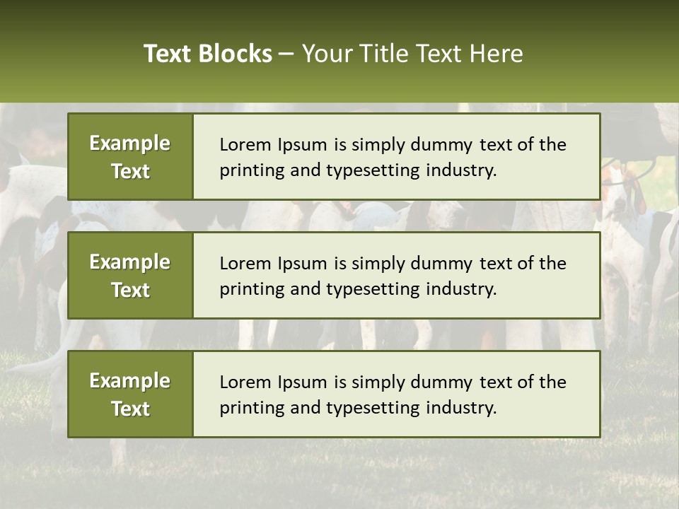 A Group Of Dogs That Are Standing In The Grass PowerPoint Template