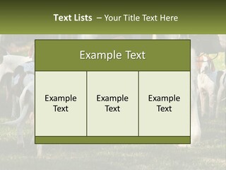 A Group Of Dogs That Are Standing In The Grass PowerPoint Template