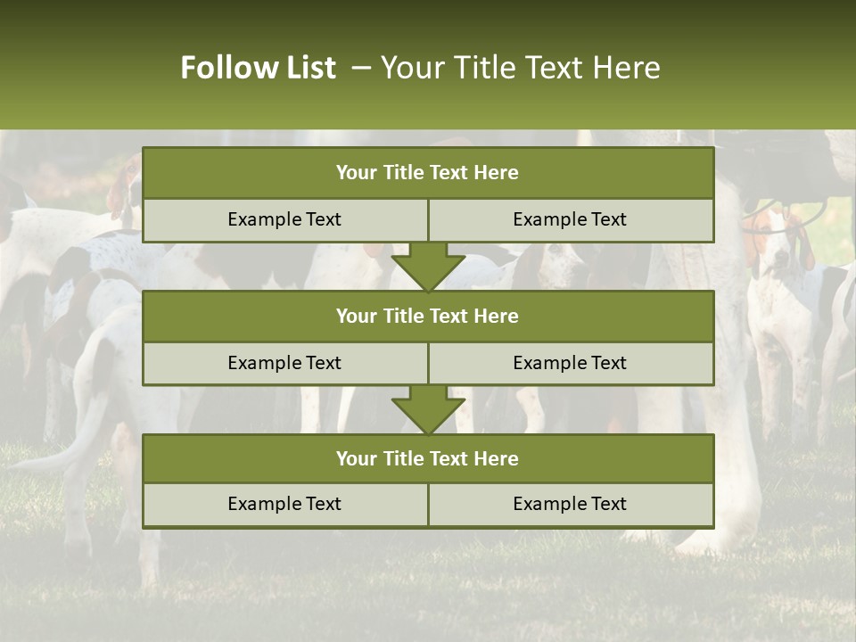 A Group Of Dogs That Are Standing In The Grass PowerPoint Template