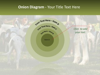 A Group Of Dogs That Are Standing In The Grass PowerPoint Template