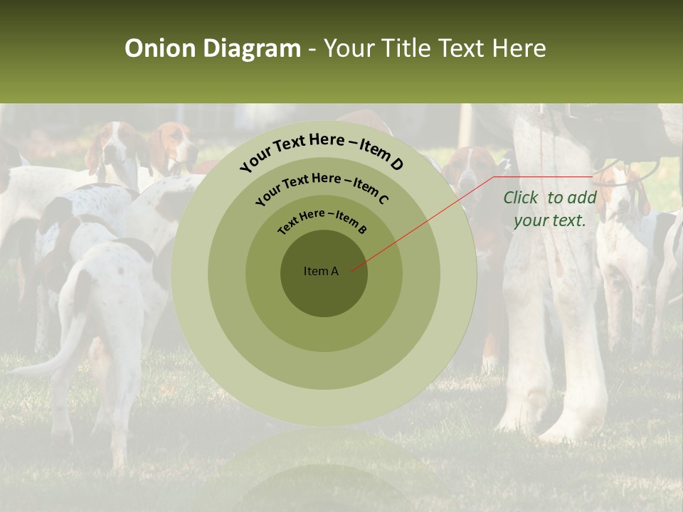 A Group Of Dogs That Are Standing In The Grass PowerPoint Template