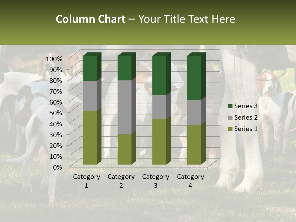 A Group Of Dogs That Are Standing In The Grass PowerPoint Template