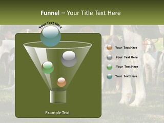 A Group Of Dogs That Are Standing In The Grass PowerPoint Template