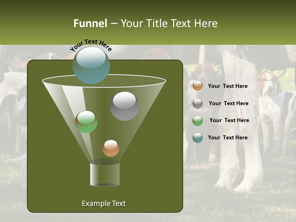 A Group Of Dogs That Are Standing In The Grass PowerPoint Template