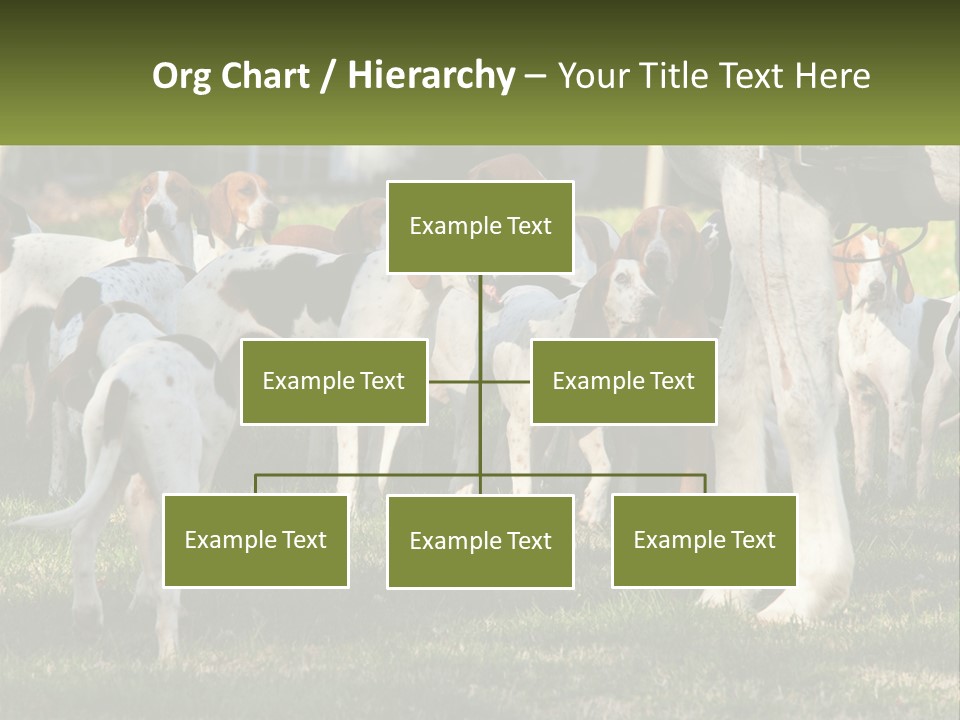 A Group Of Dogs That Are Standing In The Grass PowerPoint Template