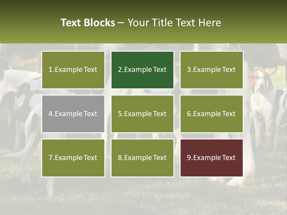 A Group Of Dogs That Are Standing In The Grass PowerPoint Template