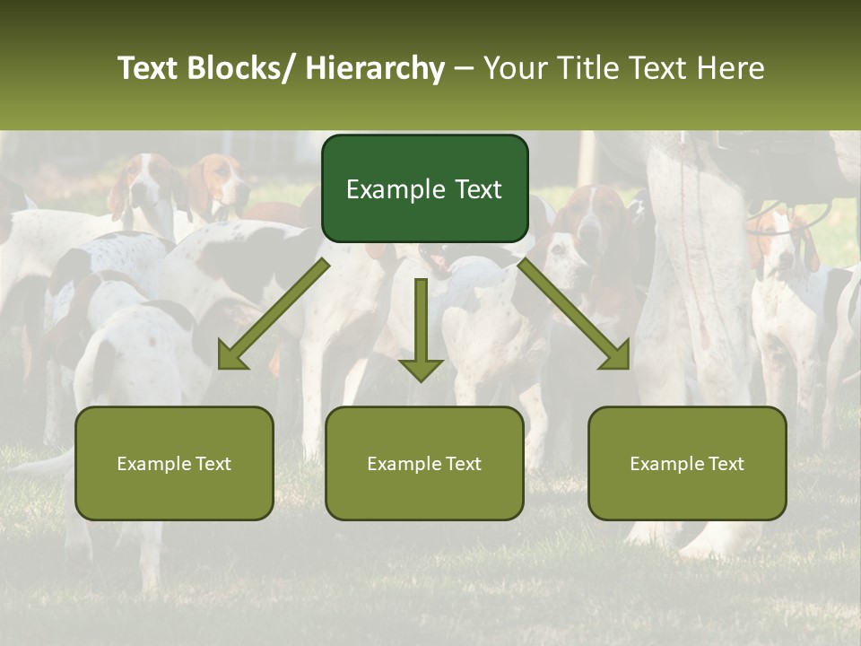 A Group Of Dogs That Are Standing In The Grass PowerPoint Template